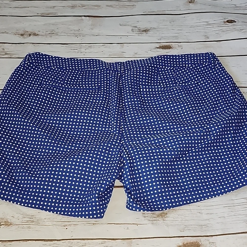 Old Navy Blue and White Polka Dot Shorts with 4.75" inseam - Picture 3 of 8